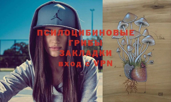 бошки Абинск