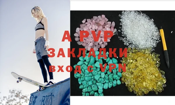 СК Алексин