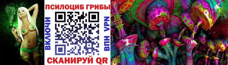 Псилоцибиновые грибы GOLDEN TEACHER  где купить наркоту  Шарыпово 