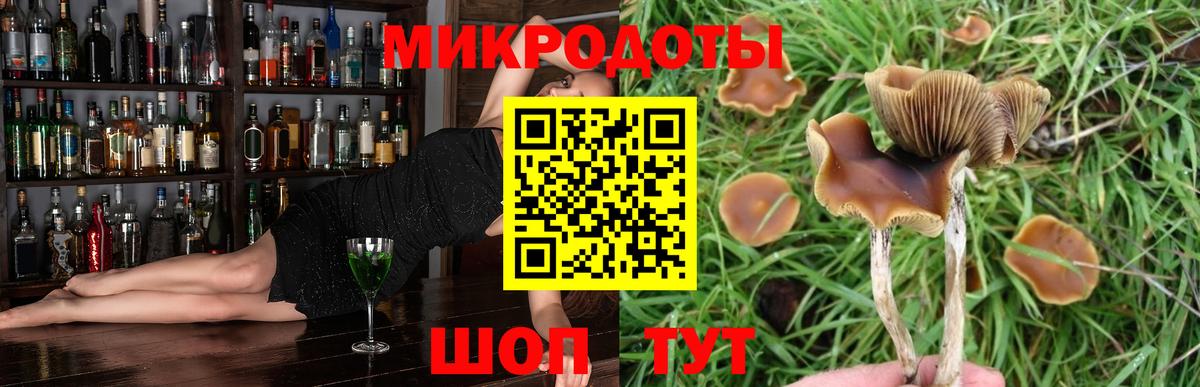 Галлюциногенные грибы ЛСД Шарыпово